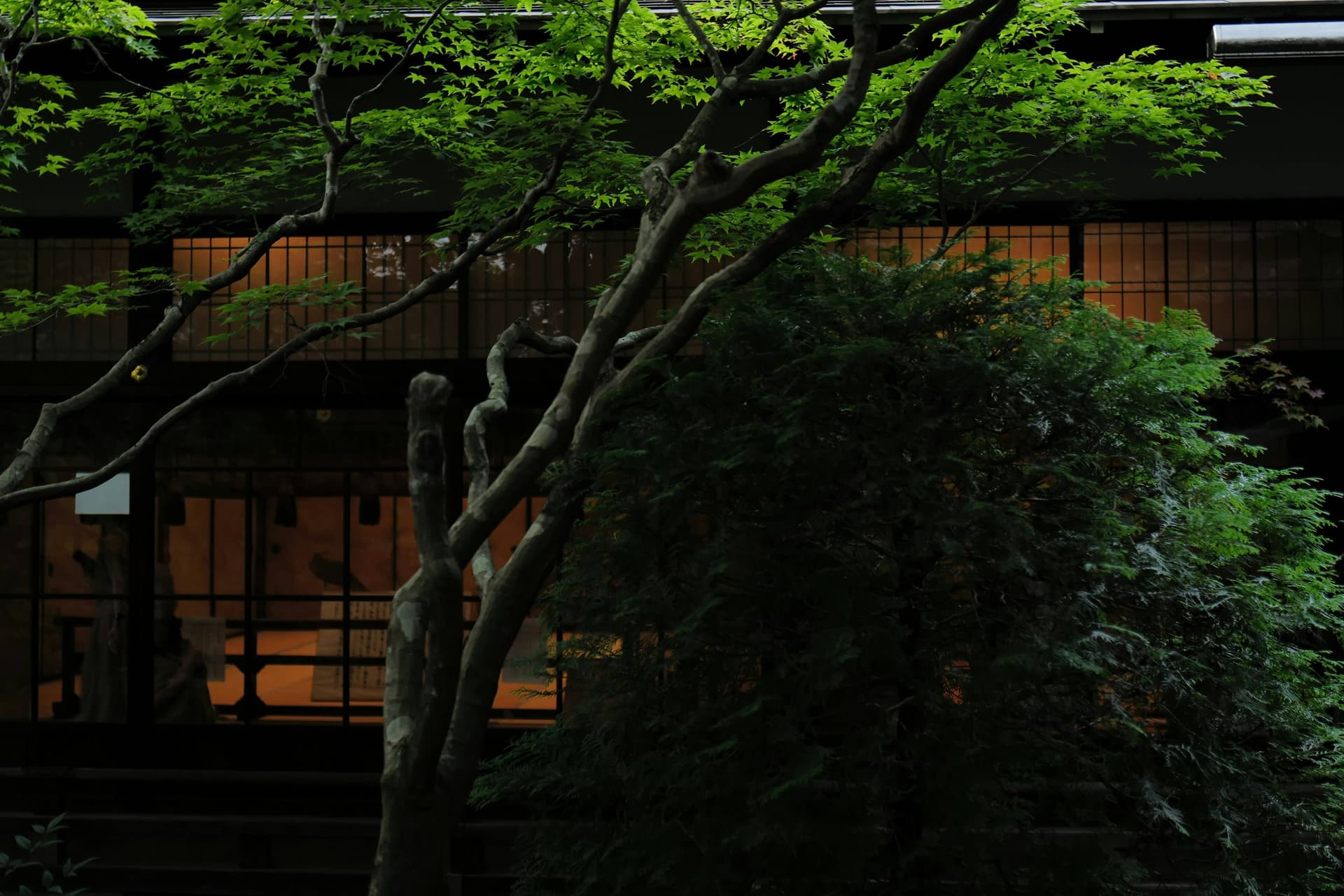 Espacio arquitectónico con principios de Feng Shui